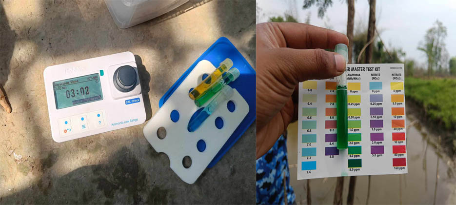 Slider Image: मत्स्य पोखरीमा Ammonia को सम्स्या